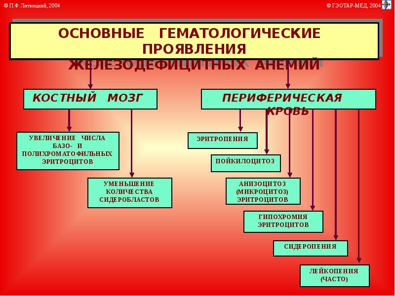 Виды анемии. Презентация по анемиям. Анемия презентация. Три вида анемии. Выделяют следующие виды анемий.