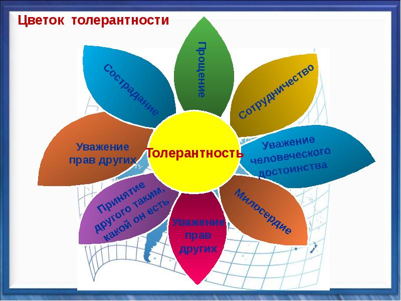 Цветок толерантности картинка