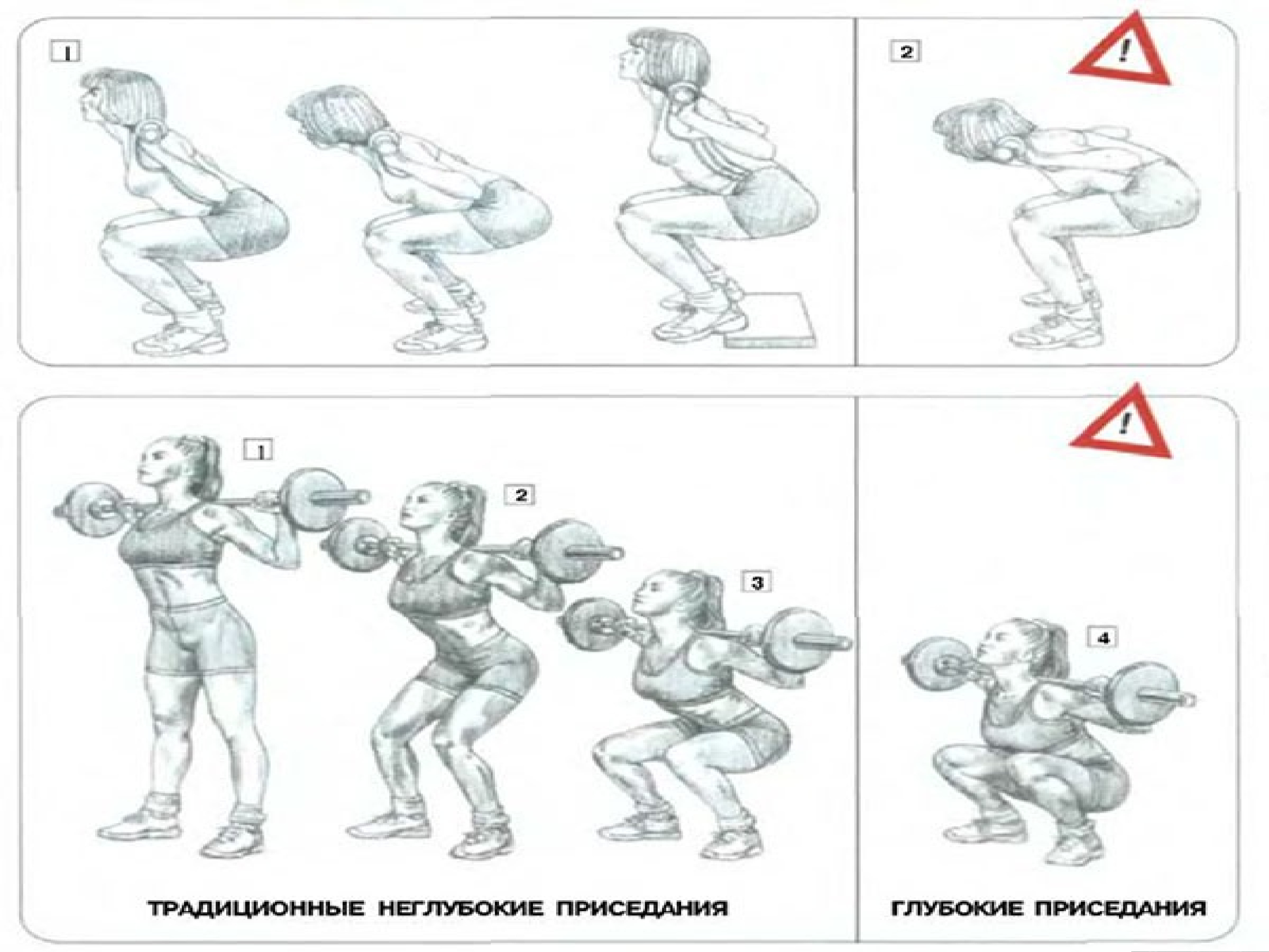 Комплекс 3. Неглубокие приседания. Комплекс упражнений игры пяти зверей. Комплекс №3. Программа приседаний для мужчин.