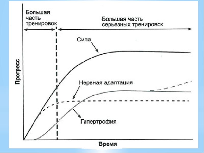 Кривая адаптации к изменениям. Срочная и долговременная адаптация. 4 Фазы долговременной адаптации график. 4 Фазы долговременной адаптации схема.