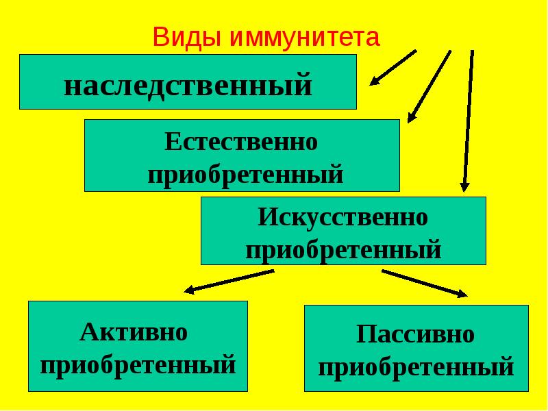 Презентация инфекционные заболевания и их классификация