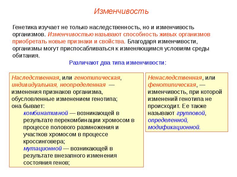 Модификационная изменчивость презентация пименов