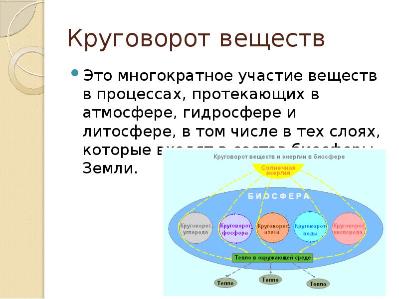 Реферат: Круговорот веществ в биосфере 2