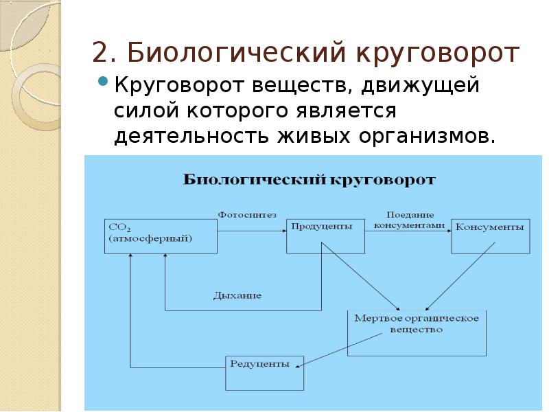 Реферат: Круговорот веществ в биосфере 2