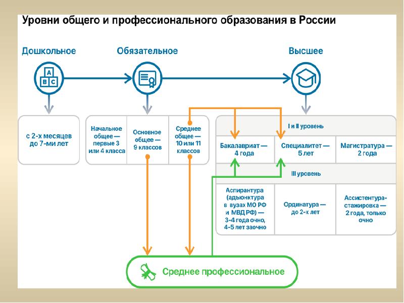 Система образования в россии презентация