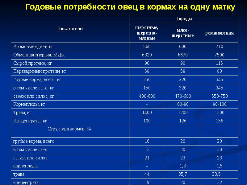 Кормление овец презентация