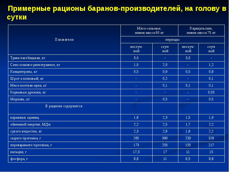 Кормление овец презентация