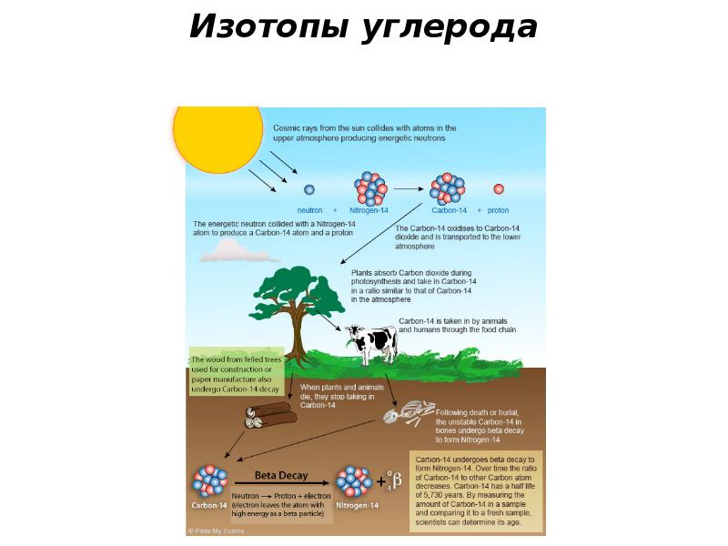 Метод радиоуглеродного анализа презентация