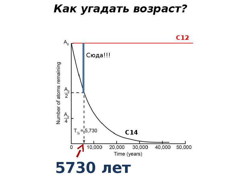 Только при помощи радиоуглеродного анализа возможно подсчитать. Только при помощи радиоуглеродного анализа возможно подсчитать