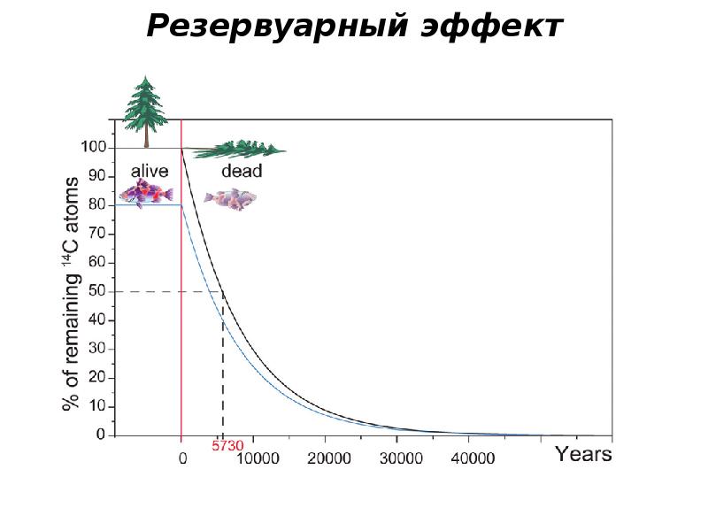 Метод радиоуглеродного анализа презентация