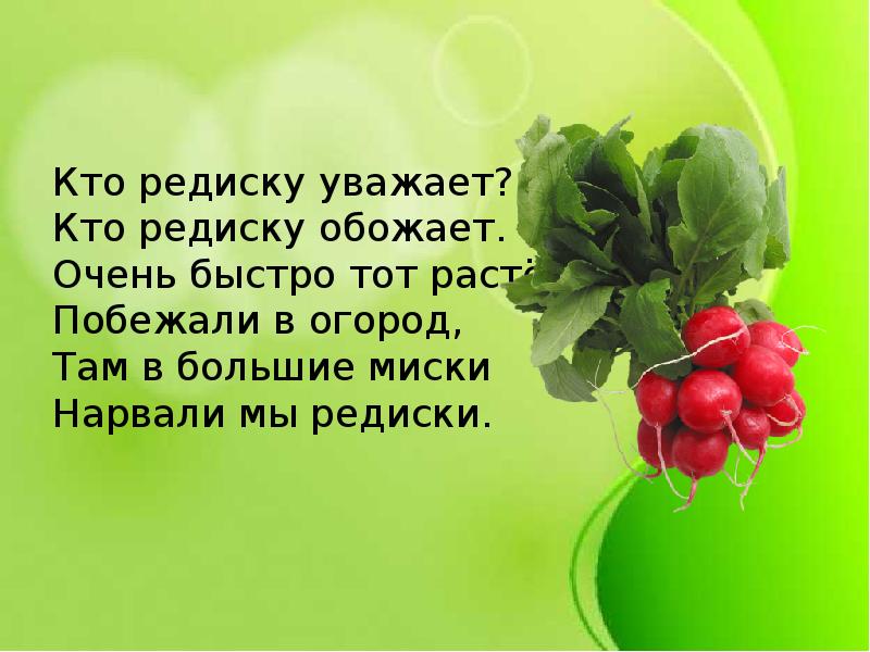 Самая большая редиска. Стишок про редис для детей. Редиска стих. Стих про редис. Загадка про ондиску.