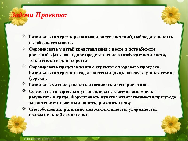 Проект по экологическому воспитанию в средней группе краткосрочный