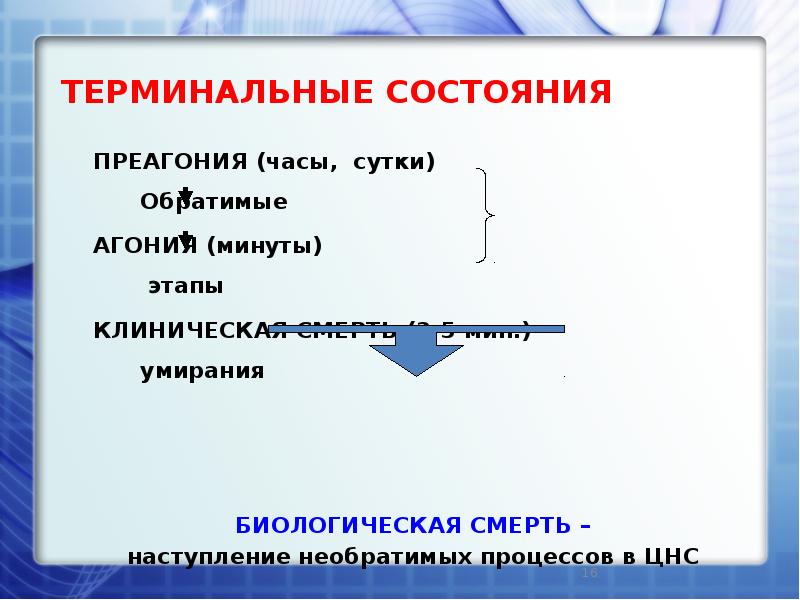 Периоды терминального состояния