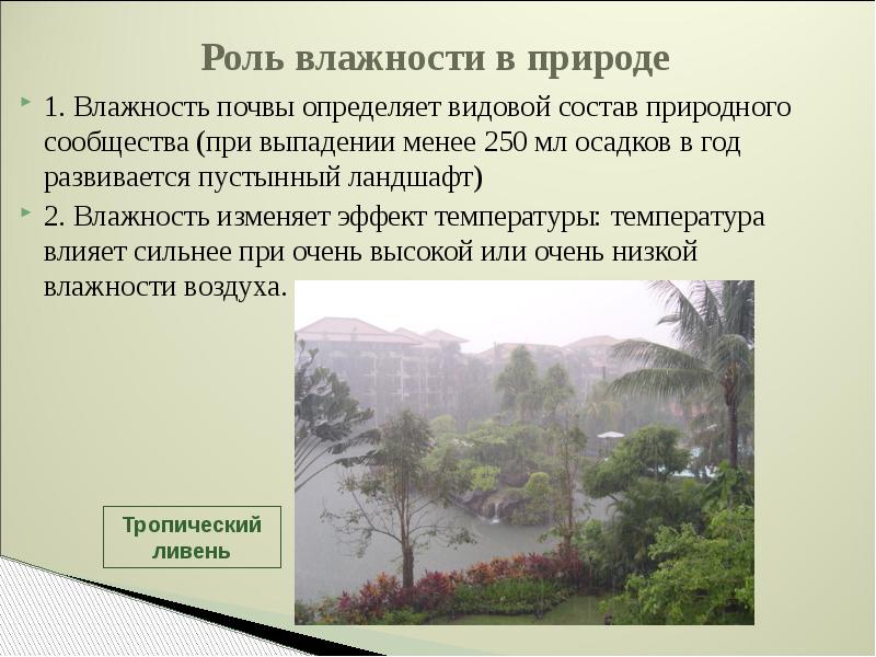 Влажная среда. Влажность окружающей среды. Роль влажности в природе. Влияние влажности почвы. Природная влажность грунтов.