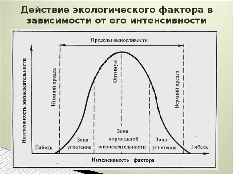 Нормальная зона. Действие экологических факторов на организм. Зоны интенсивности воздействия экологического фактора. Схема действия экологического фактора. Действие экологического фактора на живой организм схема.