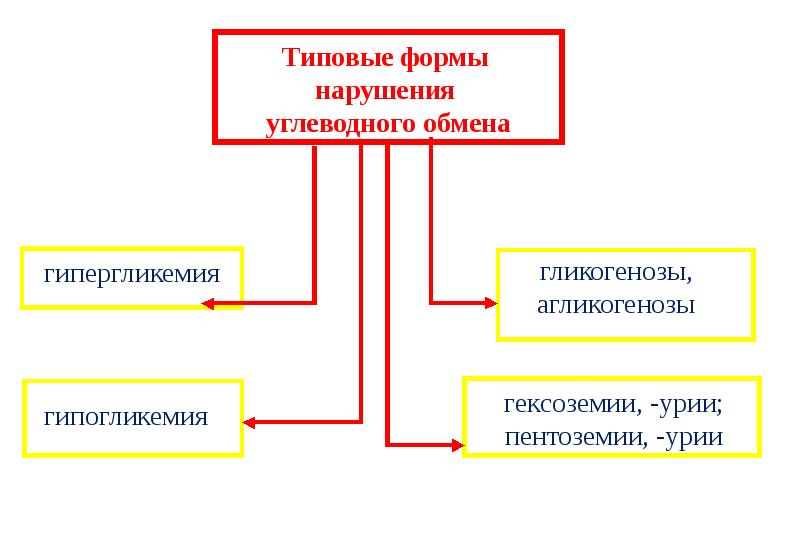 Патофизиология углеводного обмена презентация