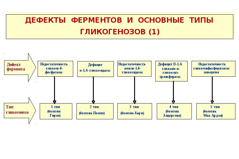 Патофизиология углеводного обмена презентация