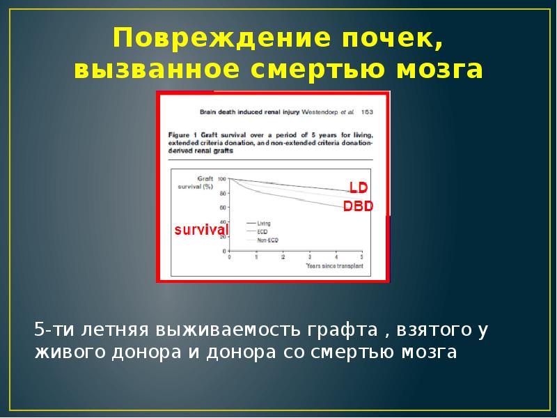 Констатация смерти карта