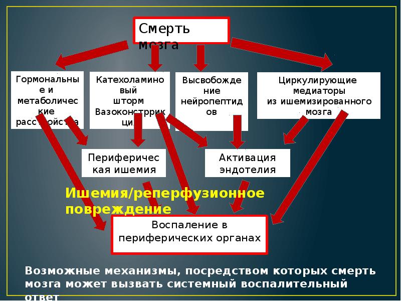 Констатация биологической смерти карта