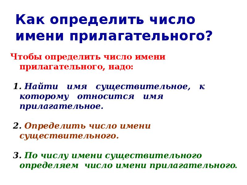 Изменение прилагательных по числам. Прилагательные в единственном и множественном. Имя прилагательное изменение по числам. Изменение прилагательных по числам. Имя прилагательное изменение по числам.
