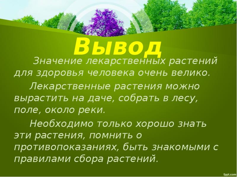 Роль лекарственных растений в жизни человека презентация