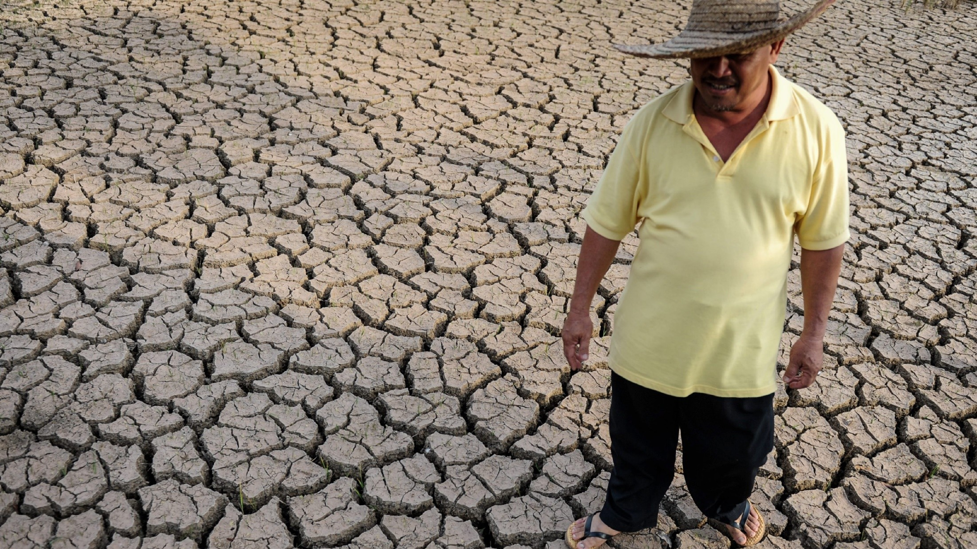 Погода засуха. Засуха пиксабай. Засуха в Азии. Картина засуха. Засушливый климат и люди.
