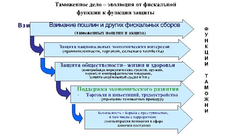 Таможенные пошлины презентация