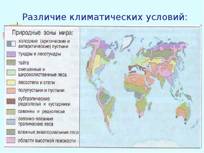 Карта распределения наземных природных зон