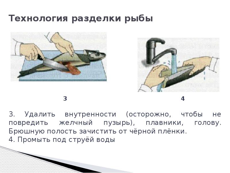 Технология рыбы. Технология обработки рыбы. Правила разделки рыбы. Первичная обработка рыбы в столовой.