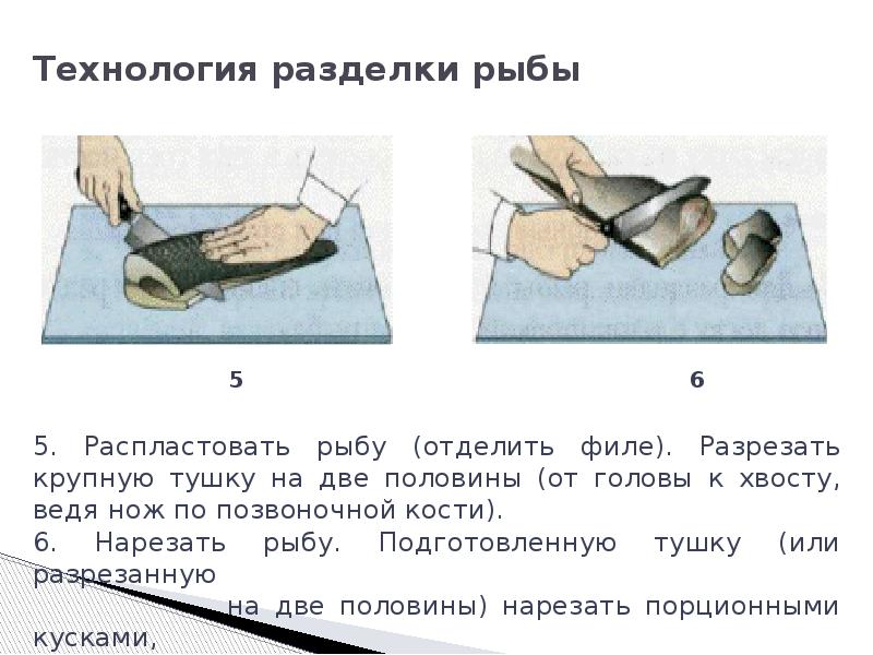 Презентация технология первичной обработки рыбы 6 класс технология