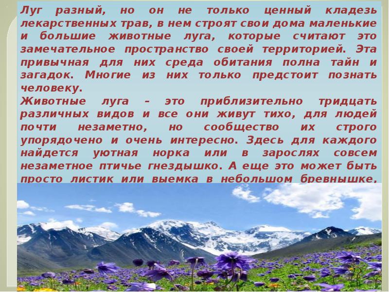 Сообщение луг 3 класс. Животные луга 2 класс окружающий мир доклад. животные луга 2 класс окружающий мир. животные луга 3 класс окружающий мир. рассказ о животном луга.