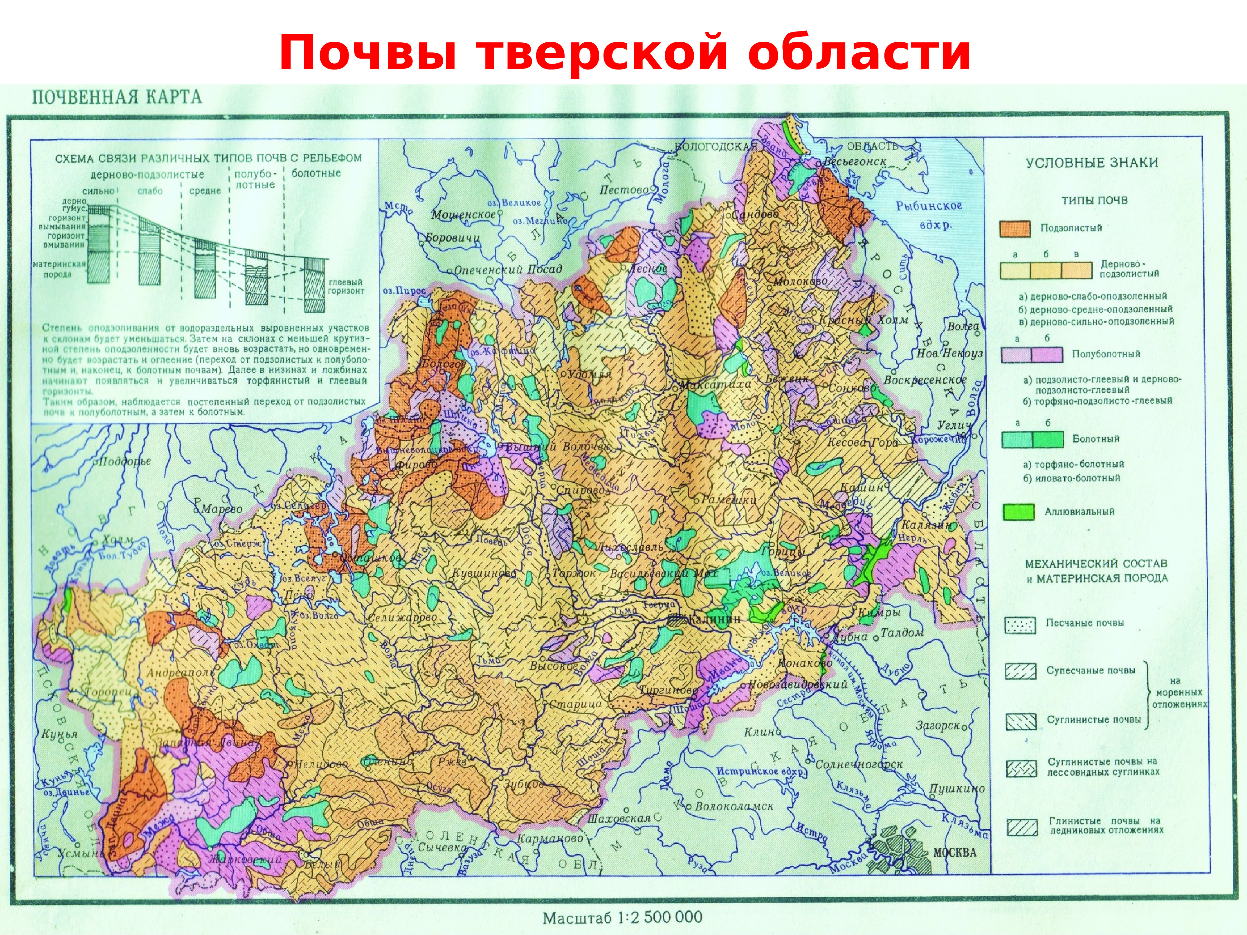 Карта почв тверской области