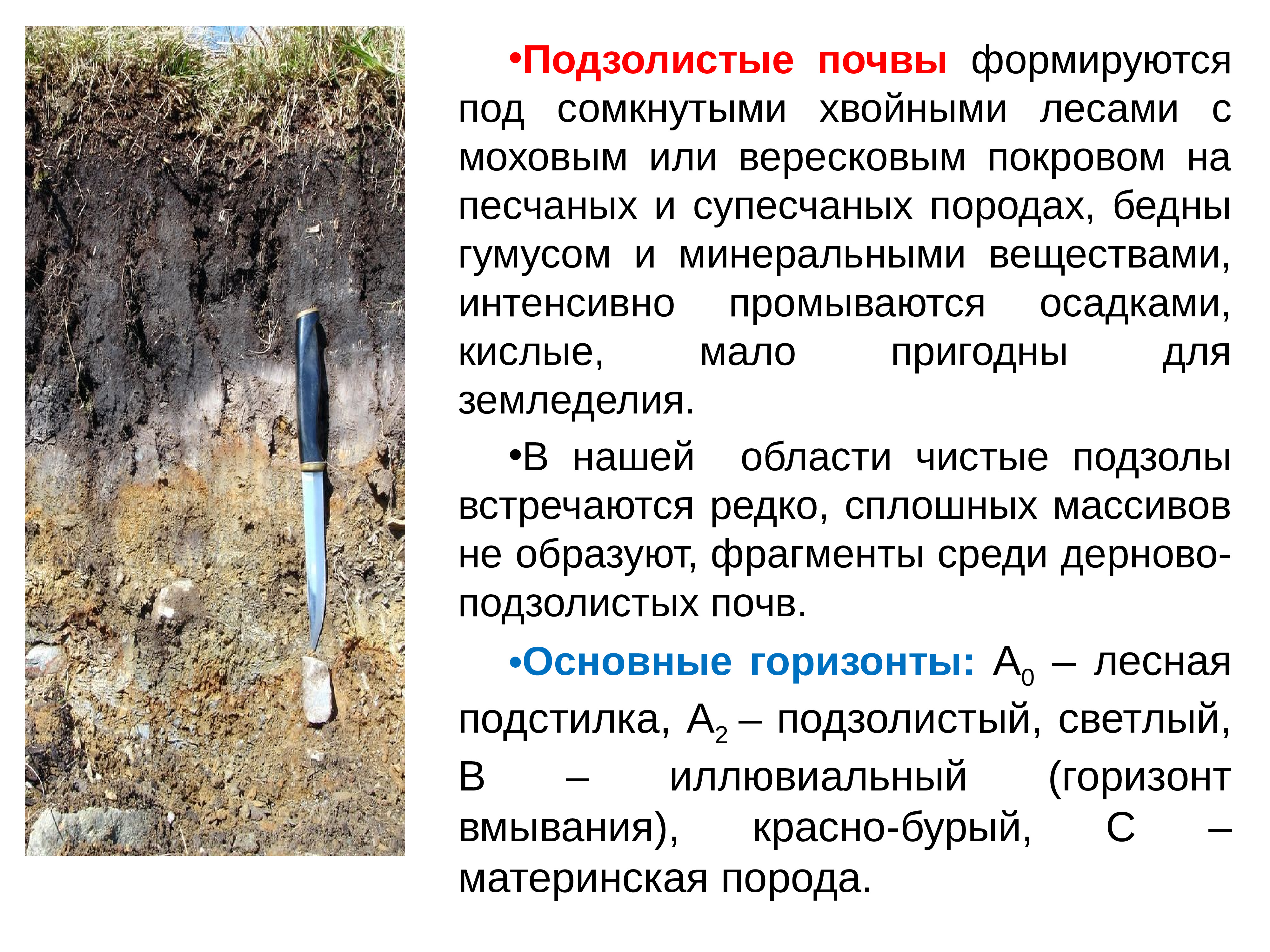 Какие почвы относятся к азональным типам подзолистые. Подзолистые почвы в Тверской области. Дерново-подзолистые почвы Тверской области. Подзолы почвы. Дерново-подзолистые почвы разрез.