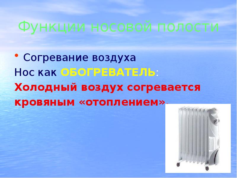 С помощью чего в носу согревается воздух. С помощью чего в носу согревается воздух. Носовая полость ( нос задерживает крупные. Что происходит в носовой полости. Носовая полость увлажняет воздух.