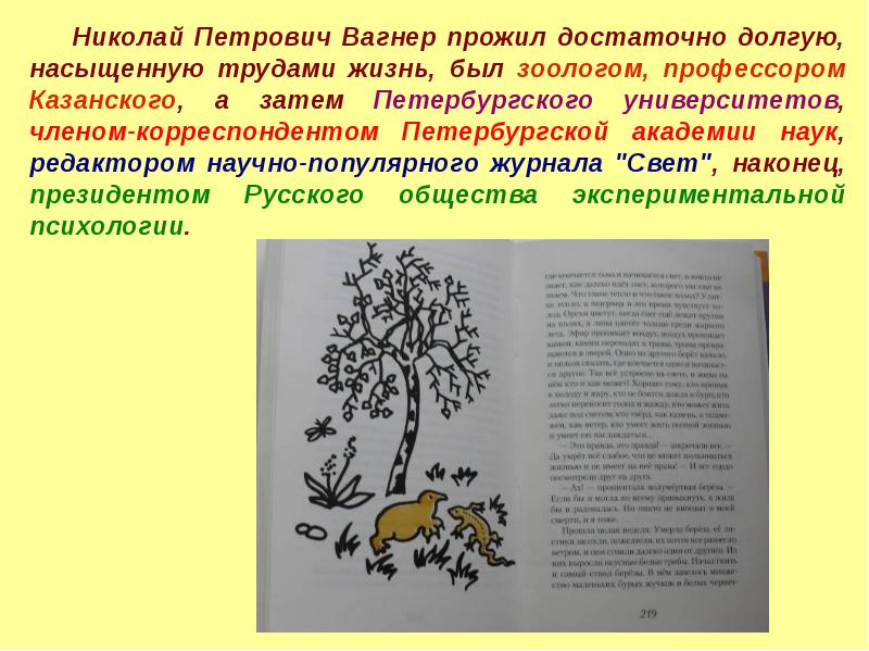 Н вагнер береза 4 класс школа 21 века презентация