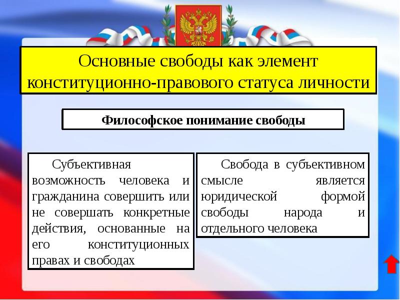 Основные свободы. Основные элементы правового статуса. Элементы конституционно-правового статуса. Основные элементы правового статуса личности. Элементы конституционно-правового статуса человека.