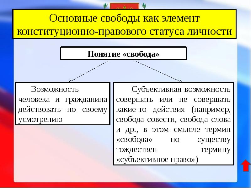 Гражданин действует. Понятие свободы личности. Правовое понятие свободы личности. Понятие Свобода человека. Сущность понятия Свобода.