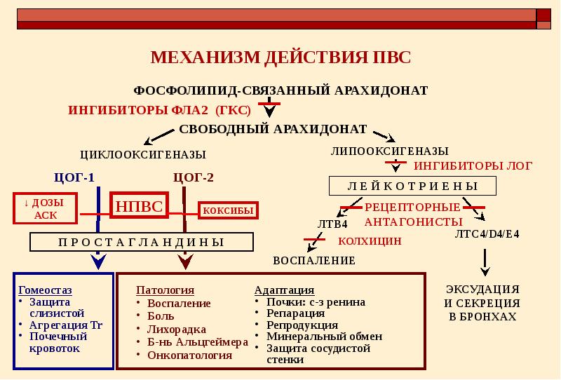 Нпвс презентация фармакология