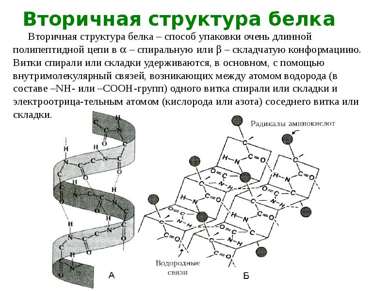 Определение структуры белка метод