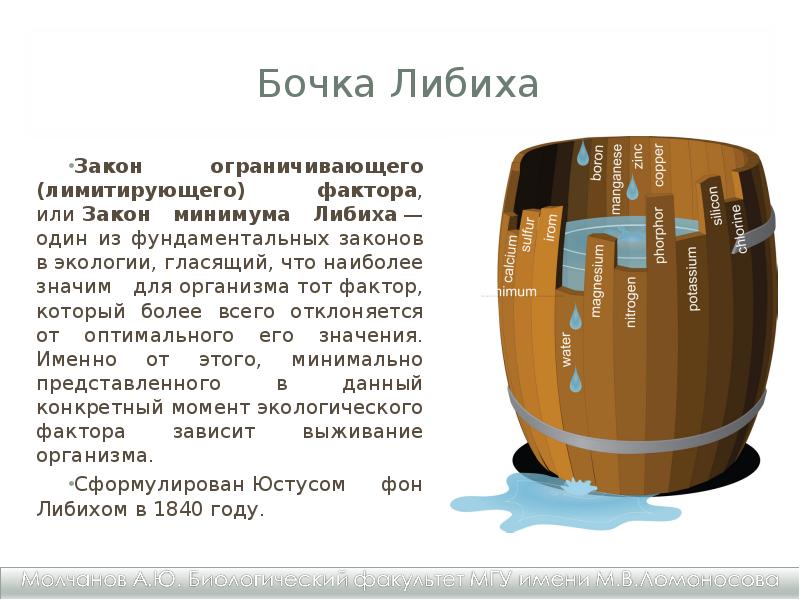 Закон ограничивающего фактора презентация