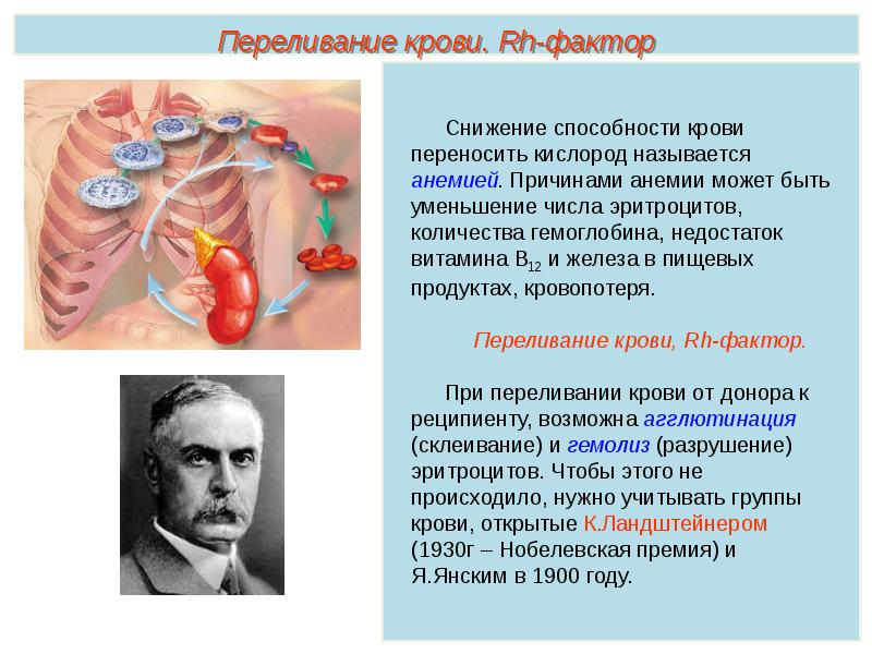 Компоненты крови презентация