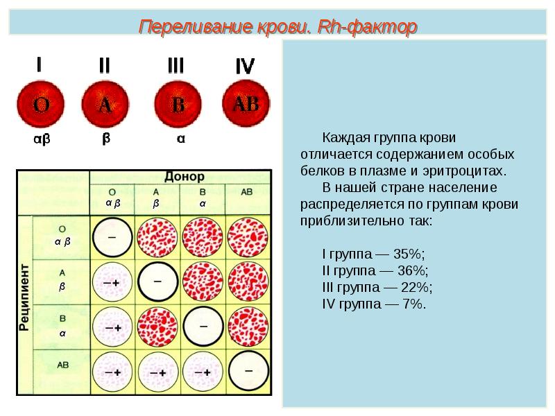 Глюкоза группы крови. Отличия групп крови. Группы плазмы крови. Группы крови эритроциты плазма. В чем разница групп крови.
