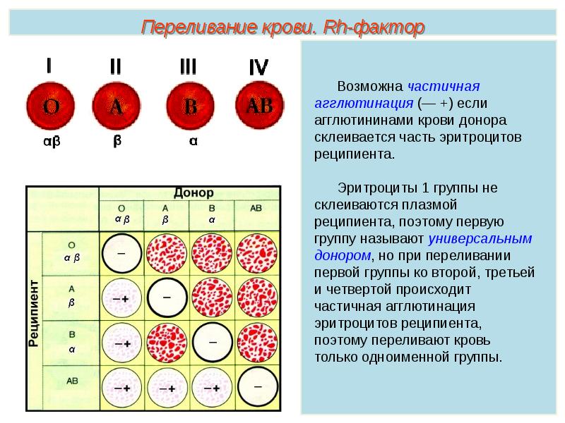 Холодовые агглютинины фото