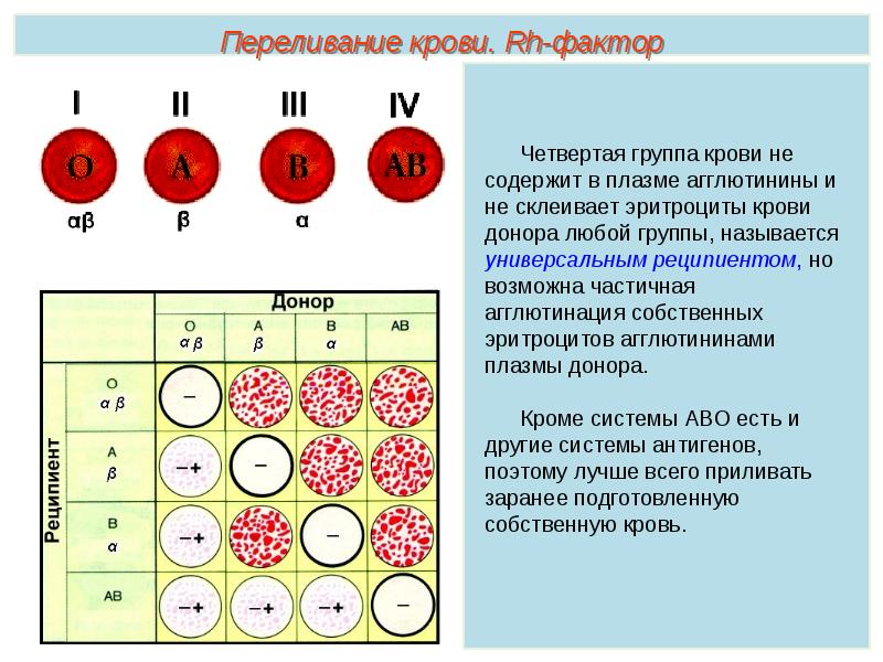 Изучите рисунок и установите какая группа крови