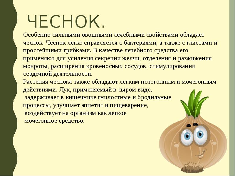 Овощная аптека лекарственные свойства овощей