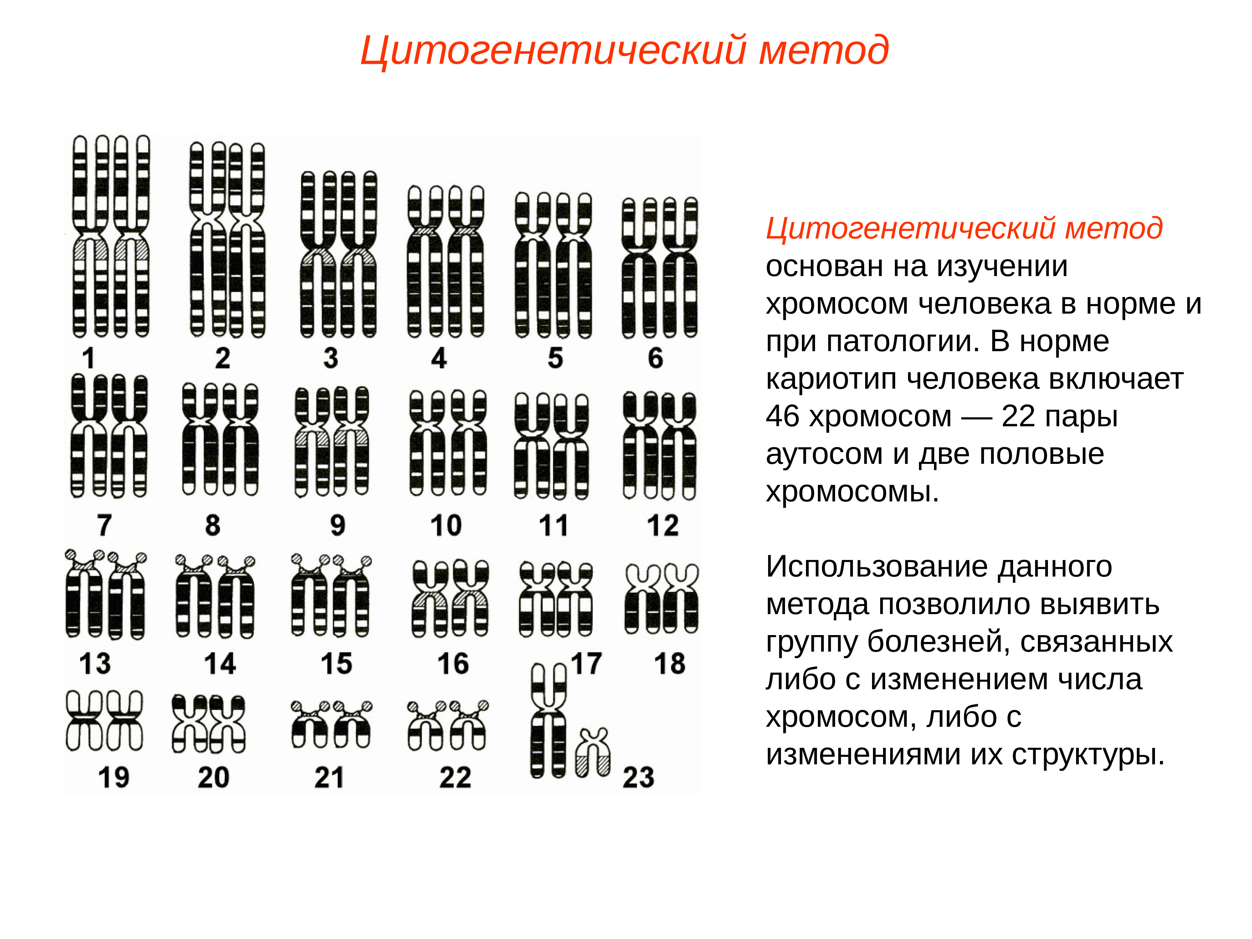 Карта хромосом человека