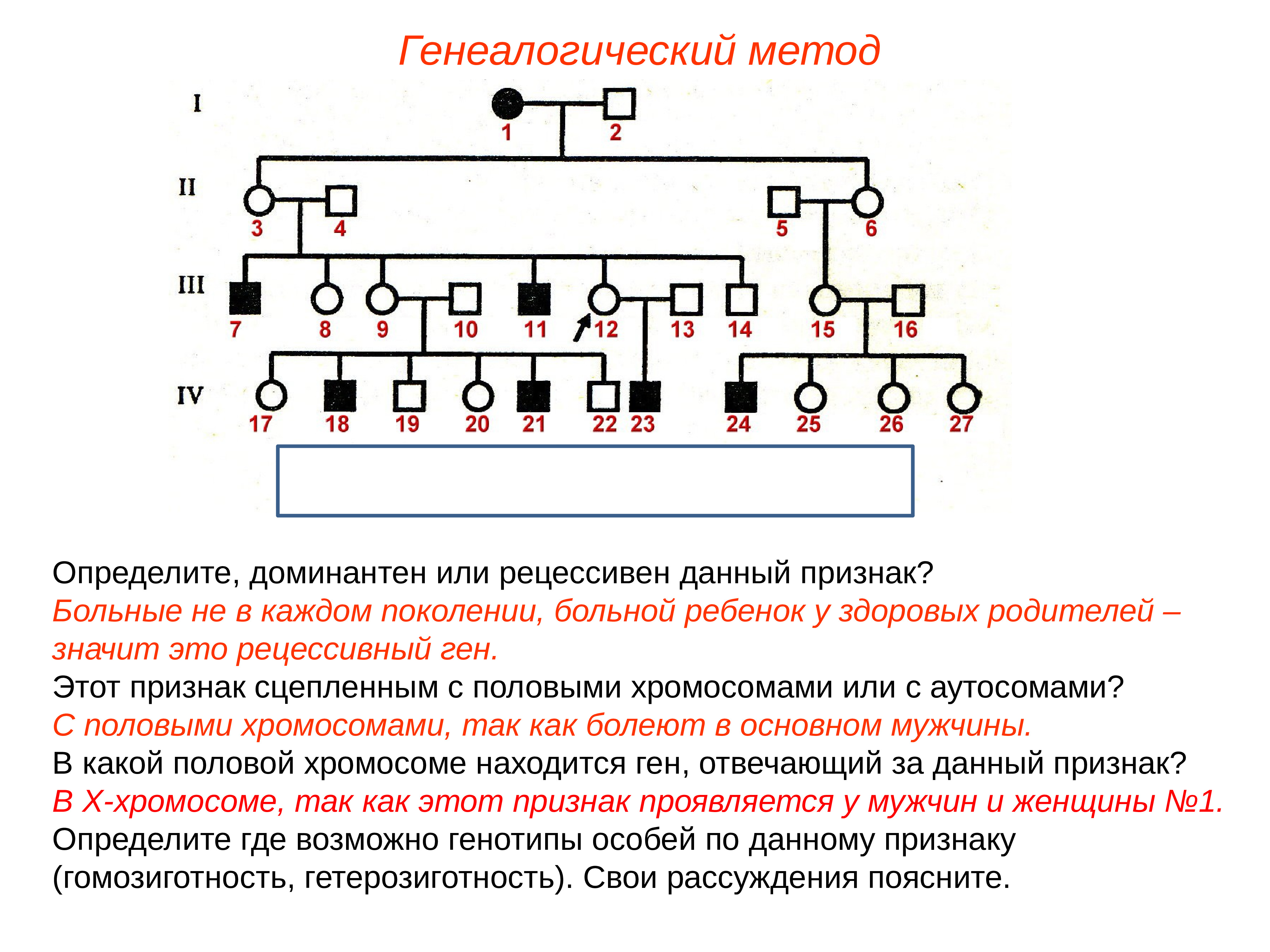 Генетика человека презентация 10 класс