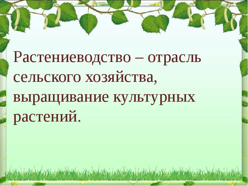 Растениеводство в нашем крае 4 класс окружающий мир презентация школа россии плешаков