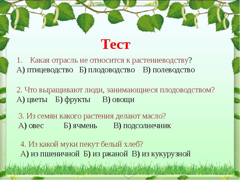 Тест растениеводство 3 класс школа россии презентация