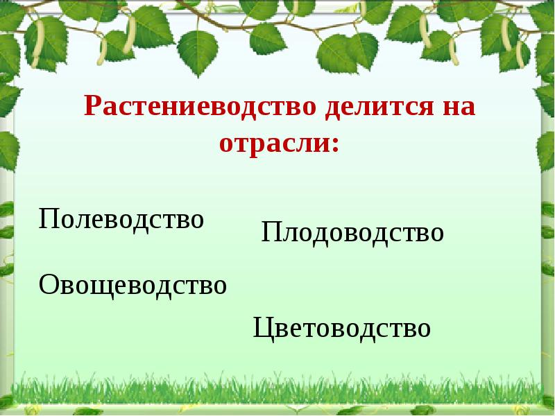 Растениеводство 5 класс проект